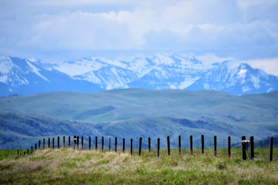 Montana mountains and open fields